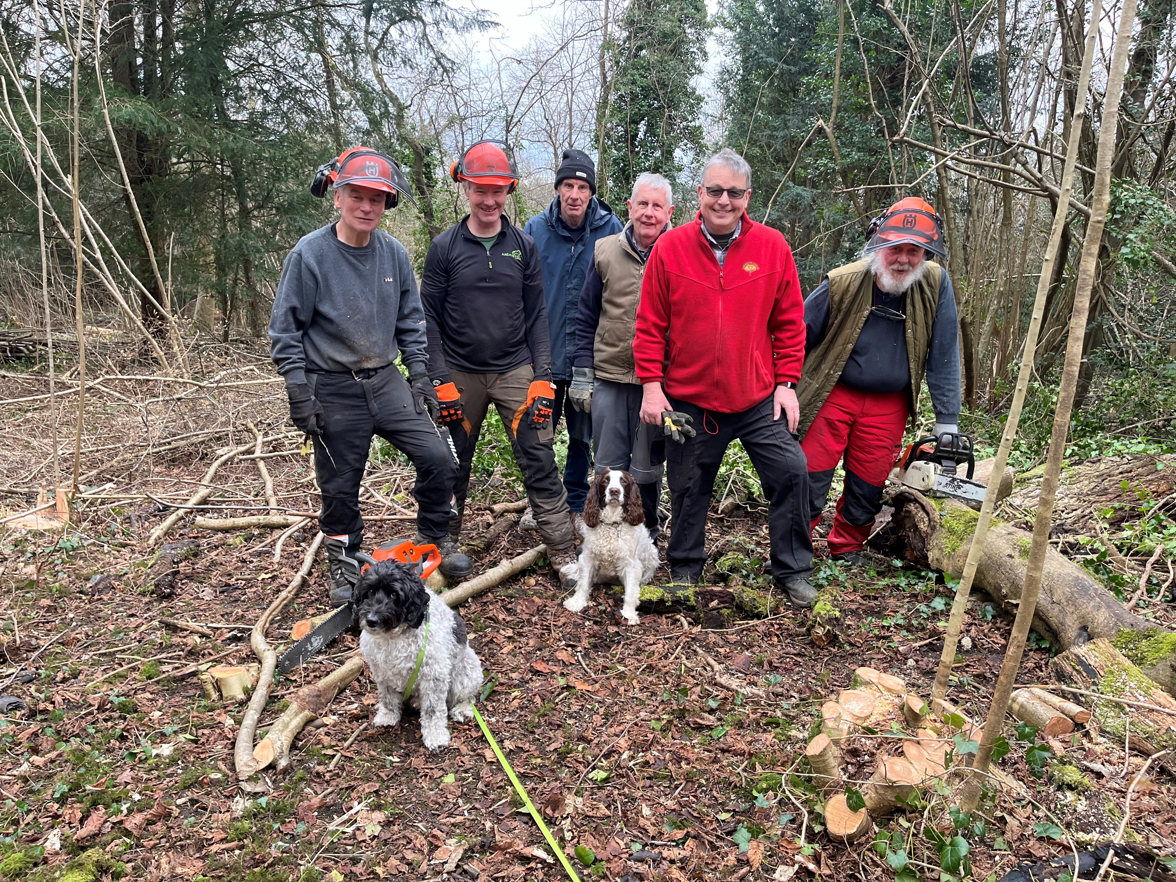 More Friends of Foxley Woods