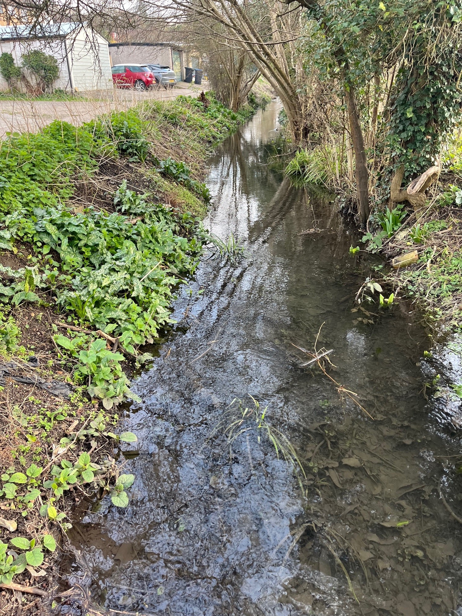 Bourne flowing through the old allotments