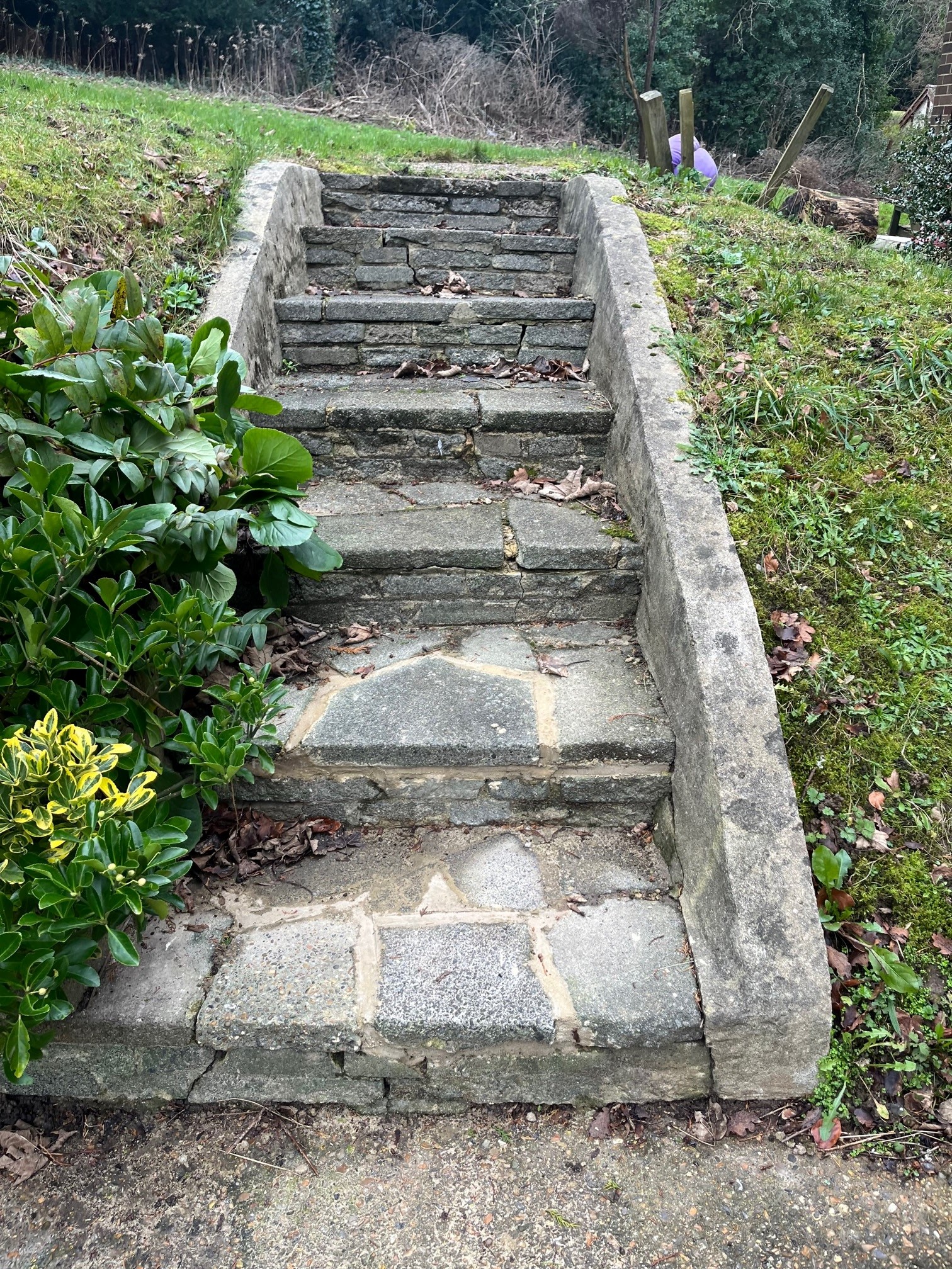 Fixed steps on the Oaklands estate