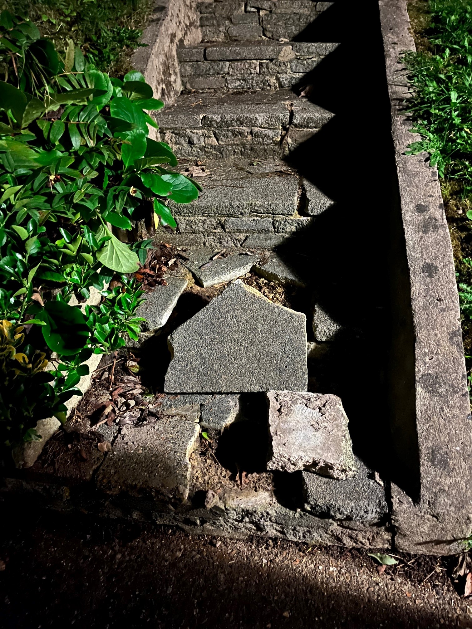 Broken steps on the Oaklands estate