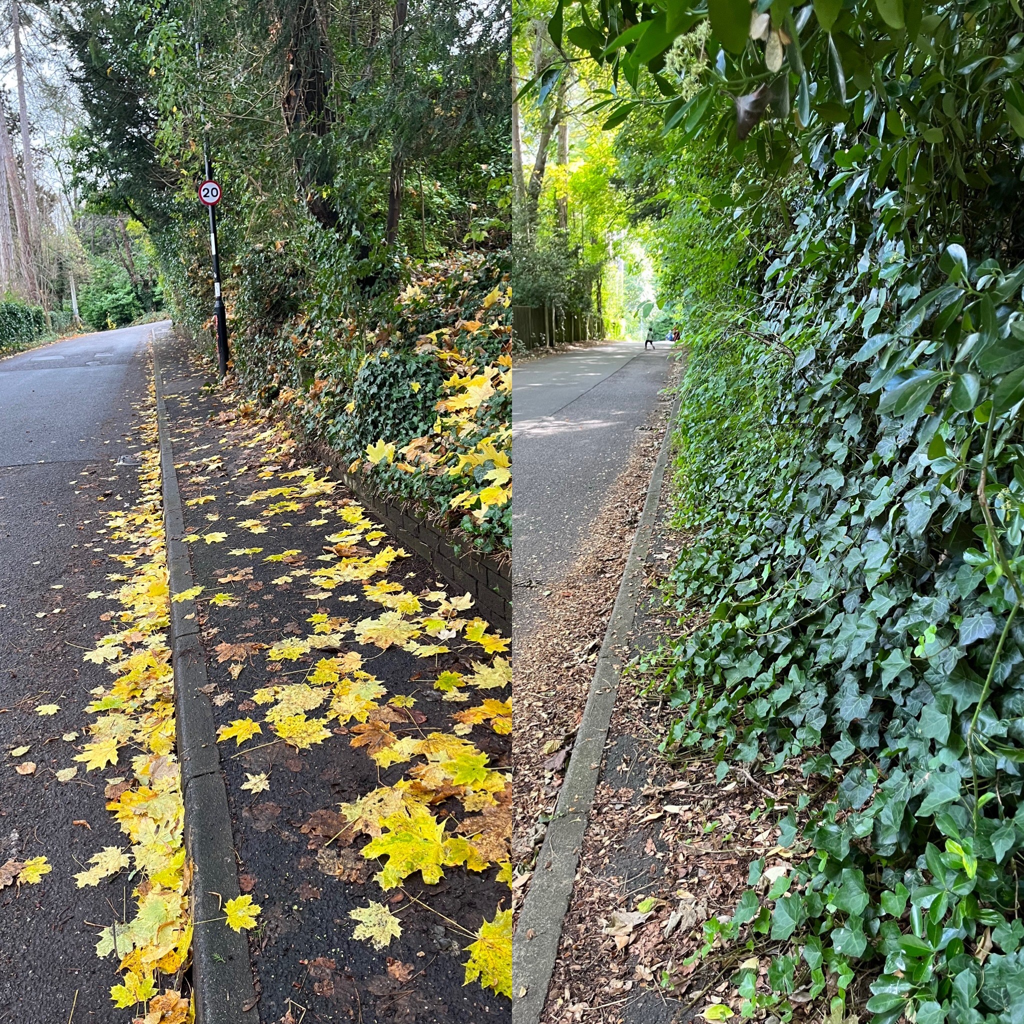 Roke Road before and after clearance of vegetation
