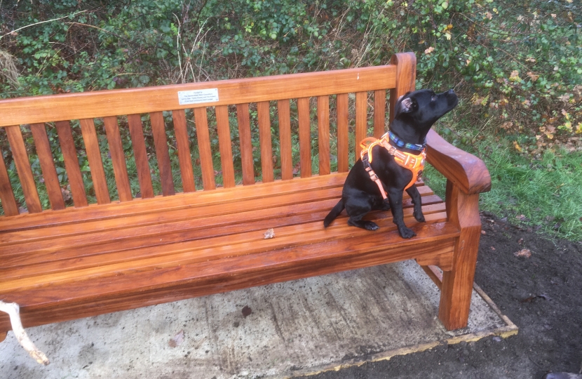 Purley Beeches AGM - New Community Benches