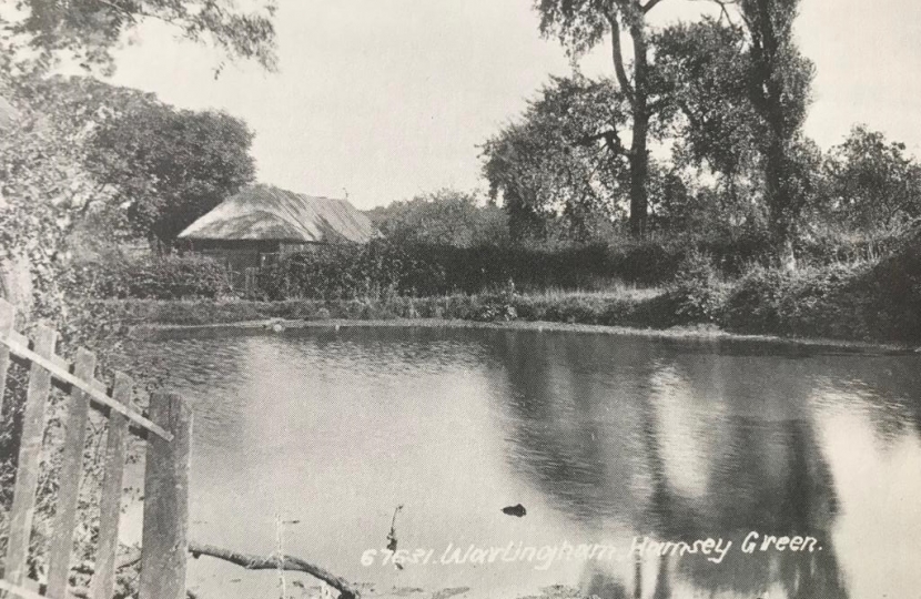 Hamsey Green Pond - 2014