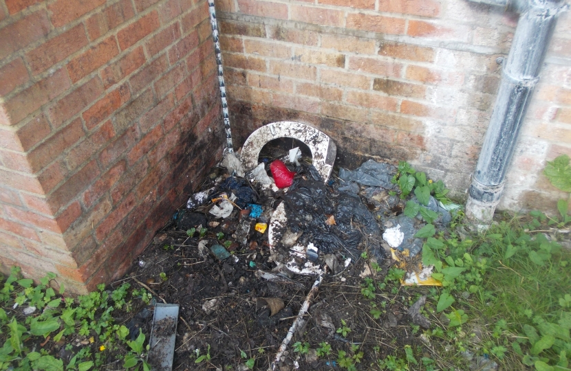Rear of the Property, rotting rubbish 