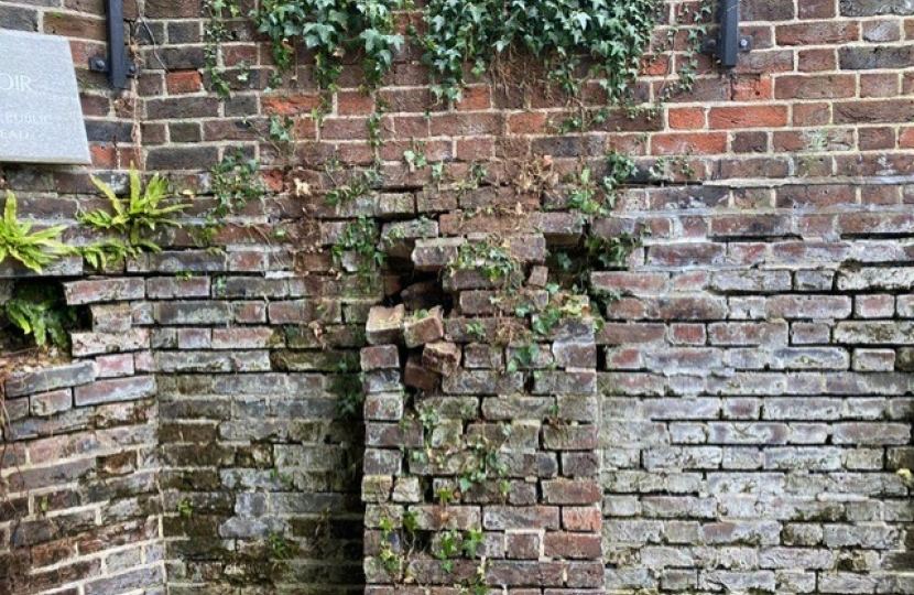 Ivy Damaged Wall