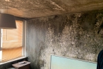 A wall caked in black mould, in a flat on Regina Road