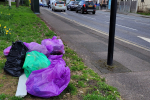 Selsdon triangle showing litter bags collected