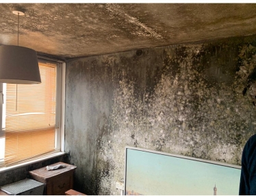 A wall caked in black mould, in a flat on Regina Road