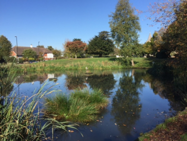 Sanderstead Pond - View from the Rectory