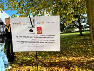 Rotary Club sign regarding the 4000 crocus bulbs planted on the Gruffy